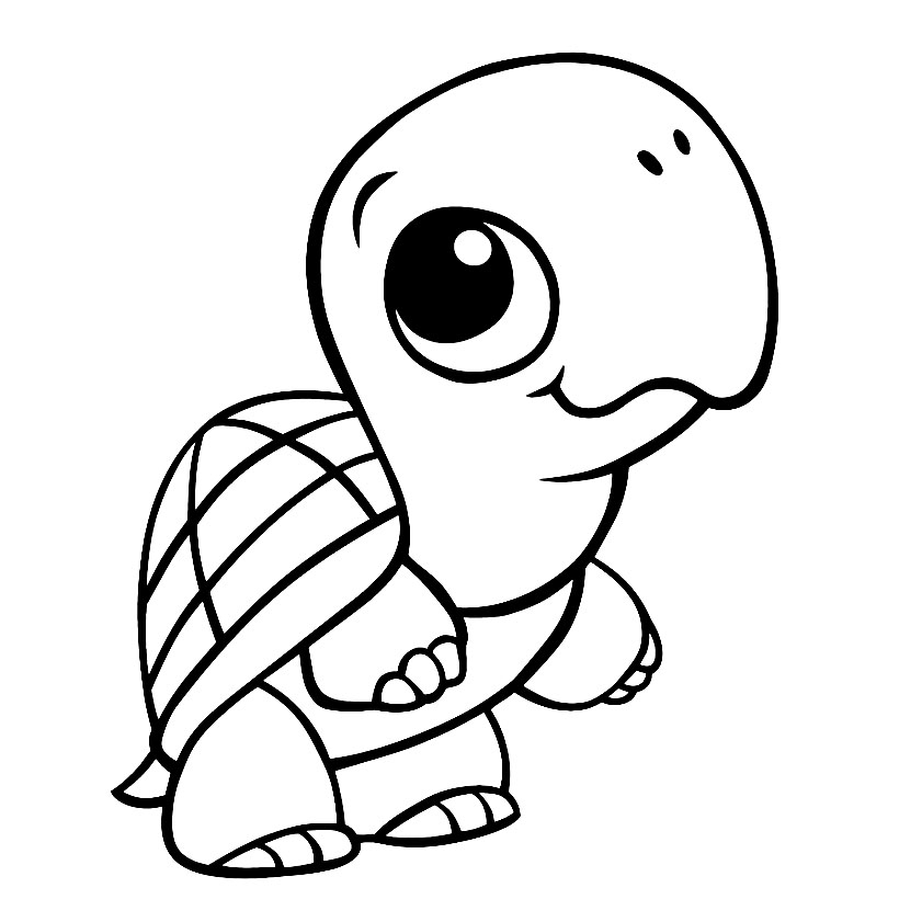 Free Coloring Pages Turtles Free Coloring Pages Turtles