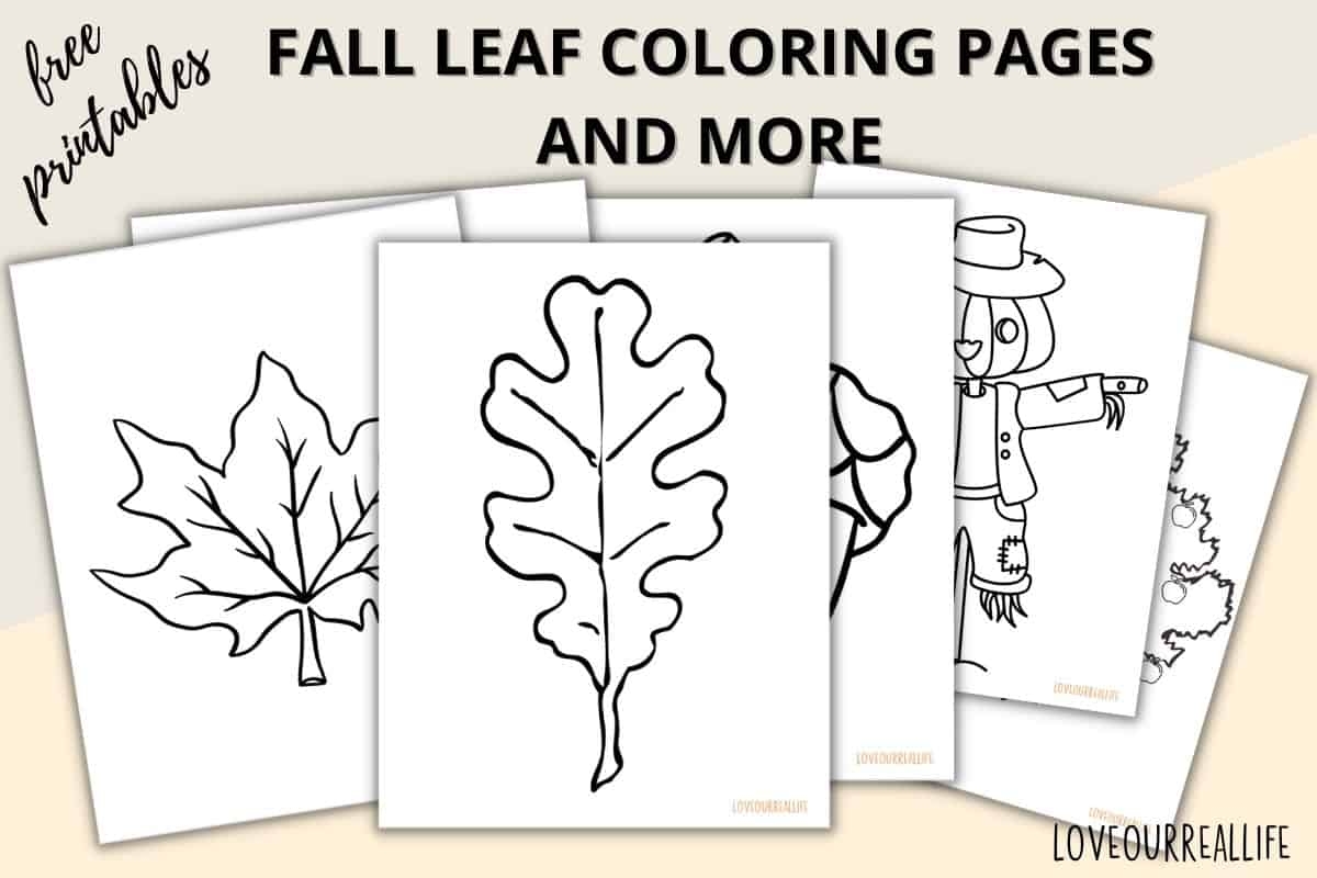 Fall Leaves Coloring Pages FREE Printable Leaf Templates Love 