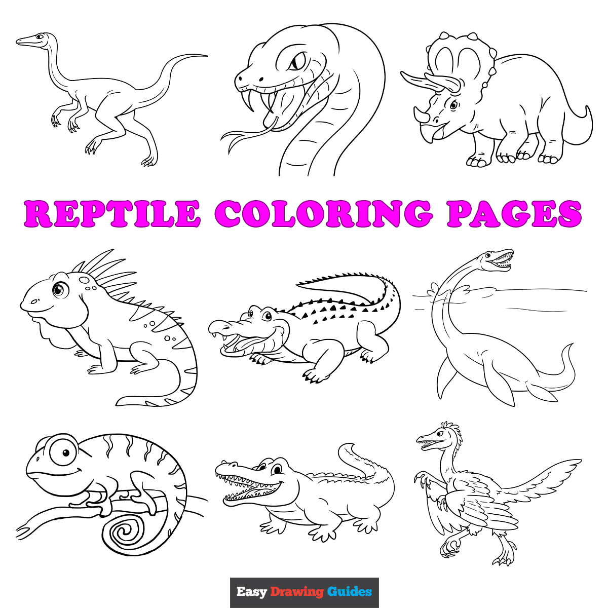 Free Printable Reptile Coloring Pages For Kids Free Printable Reptile Coloring Pages For Kids