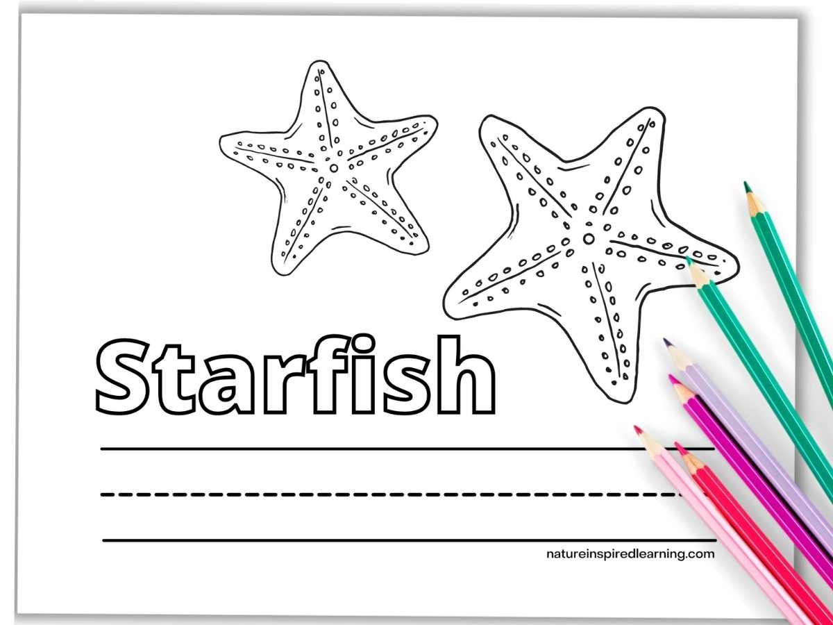 Starfish Coloring Pages Nature Inspired Learning
