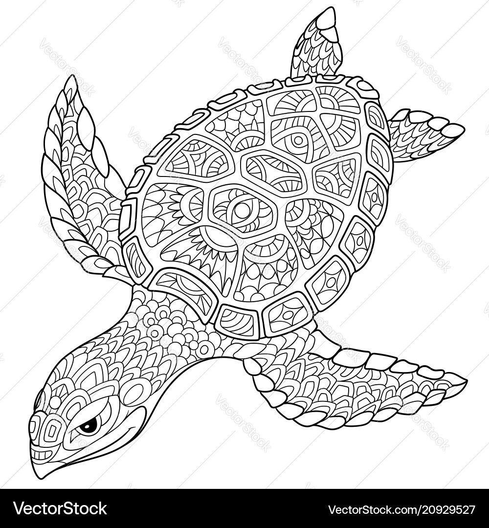 Turtle Coloring Page Royalty Free Vector Image Turtle Coloring Page Royalty Free Vector Image