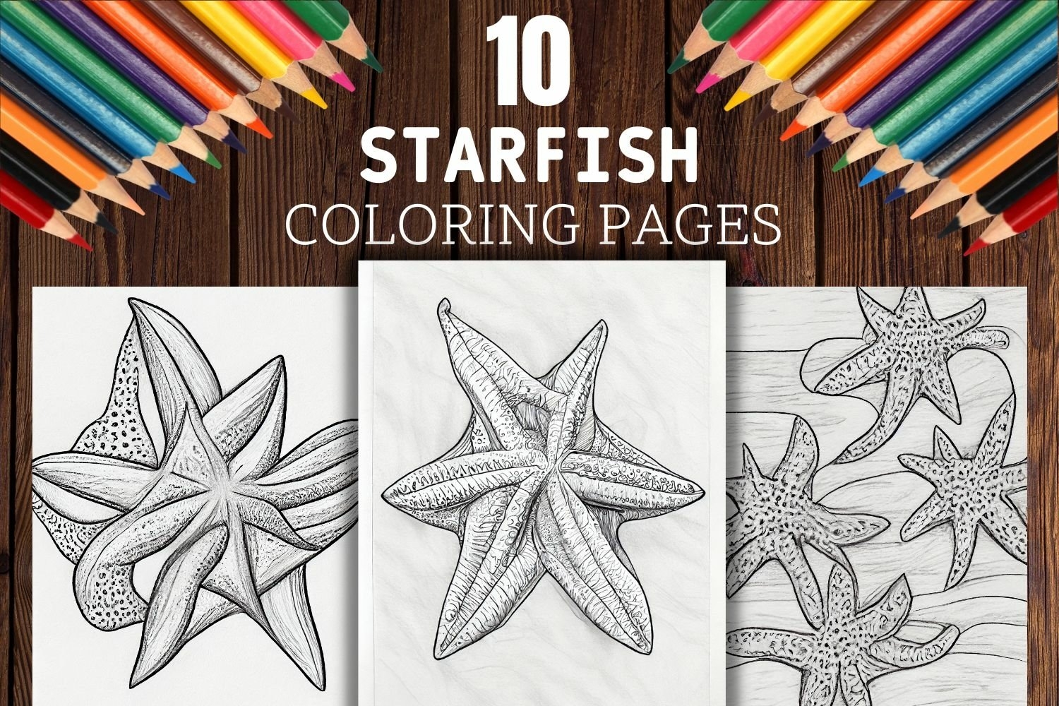 10 Starfish Coloring Pages Starfish Illustrations