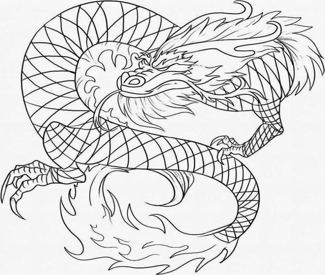 100 Dragon Coloring Pictures Wallpapers