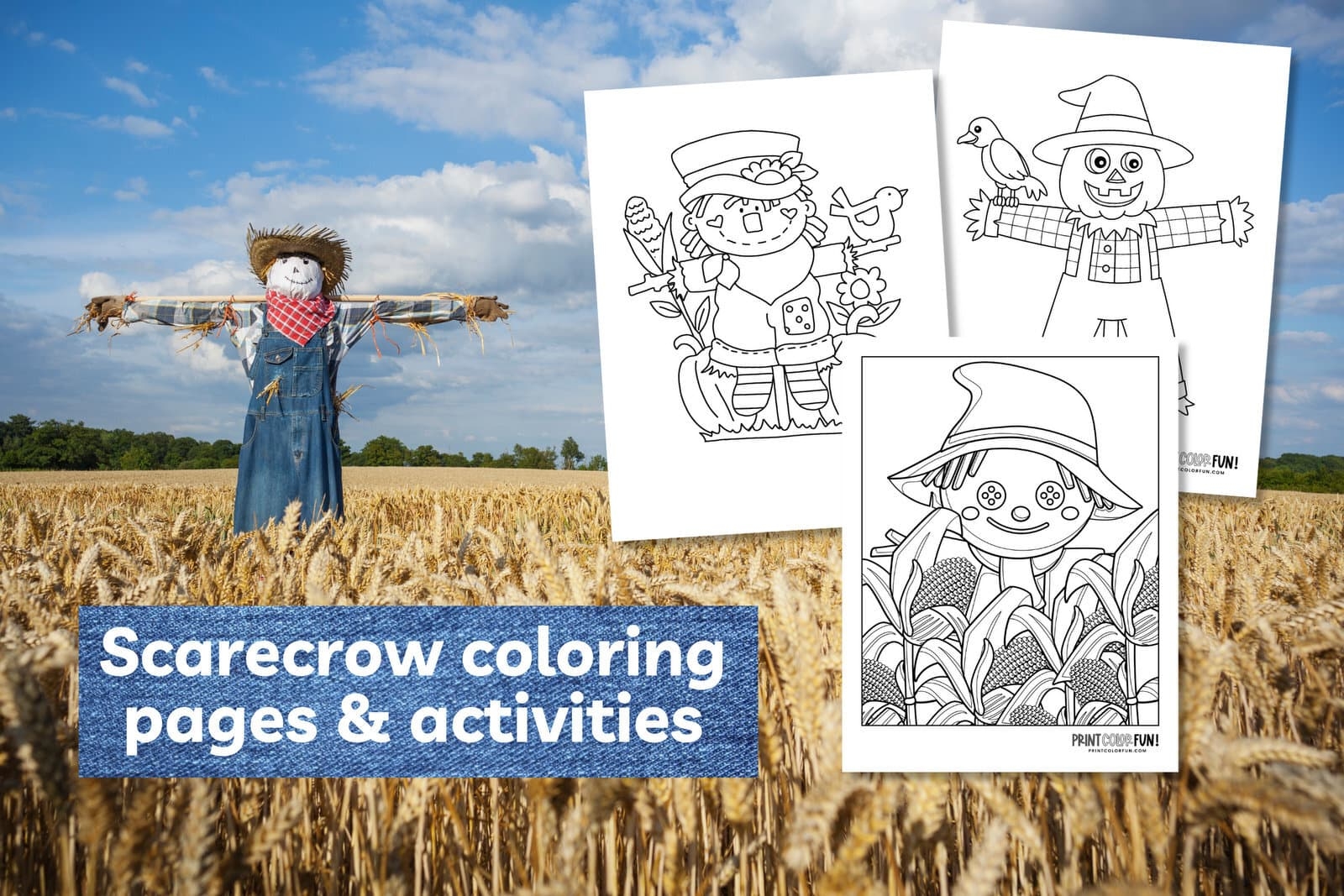 14 Scarecrow Coloring Pages Crafts Learning Activities To Unlock Fall Family Fun At PrintColorFun 14 Scarecrow Coloring Pages Crafts Learning Activities To Unlock Fall Family Fun At PrintColorFun