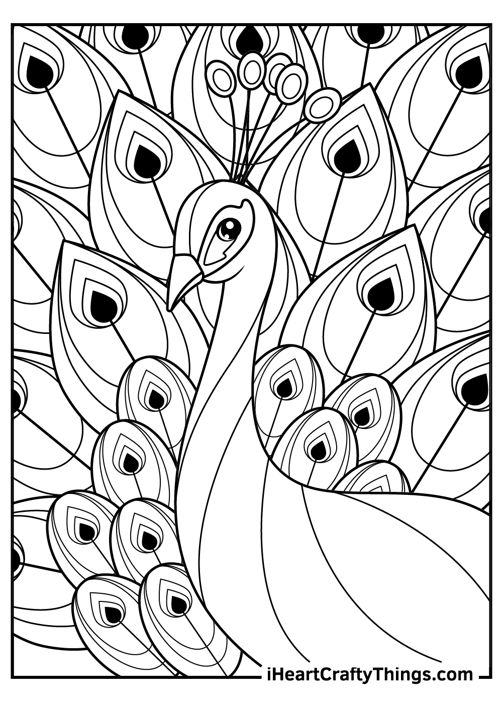 15 Peacock Coloring Pages 100 Free Printables 15 Peacock Coloring Pages 100 Free Printables