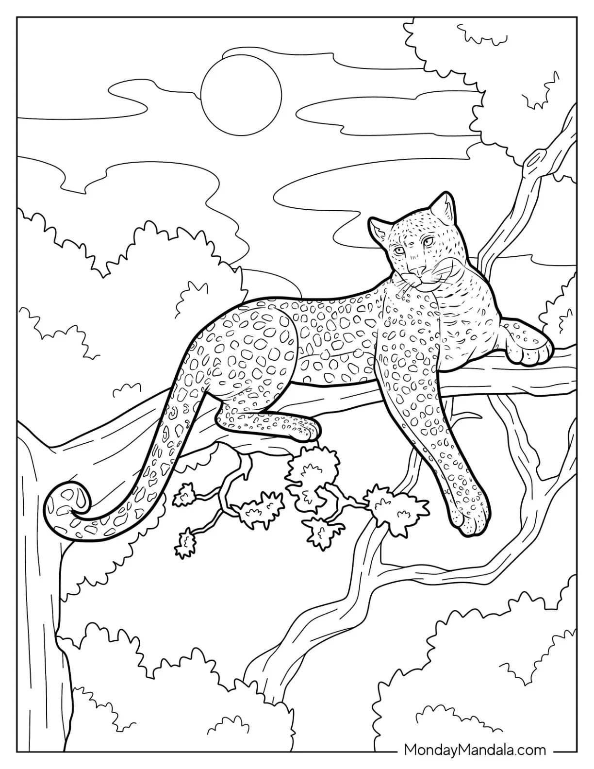 20 Cheetah Coloring Pages Free PDF Printables 