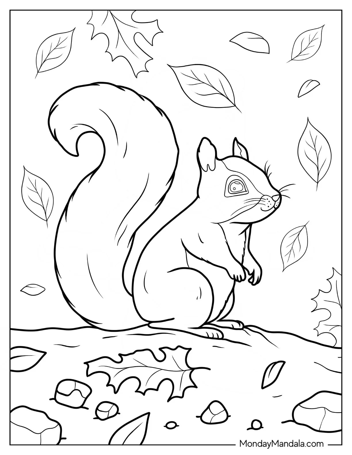 20 Squirrel Coloring Pages Free PDF Printables 20 Squirrel Coloring Pages Free PDF Printables