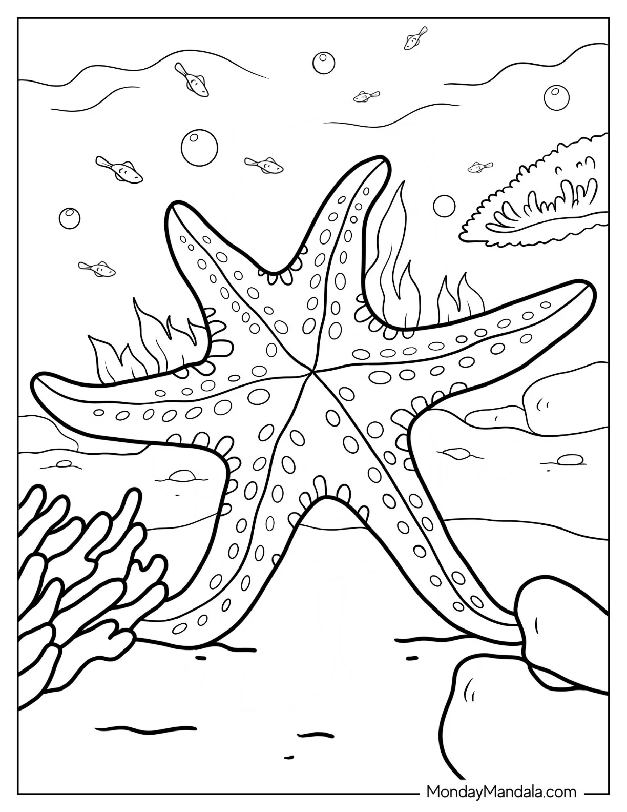 20 Starfish Coloring Pages Free PDF Printables 20 Starfish Coloring Pages Free PDF Printables