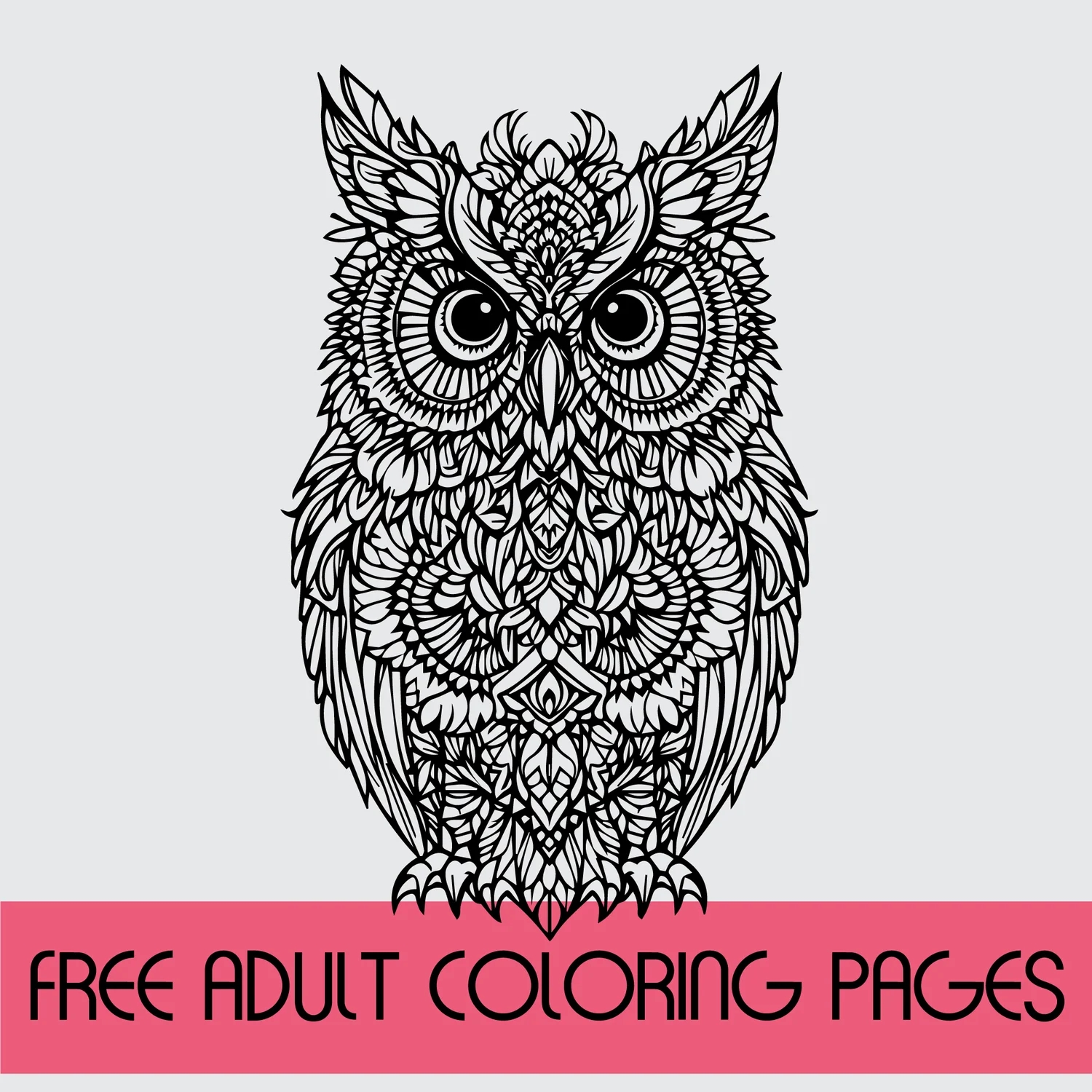 3 FREE Owl Adult Coloring Pages 3 FREE Owl Adult Coloring Pages