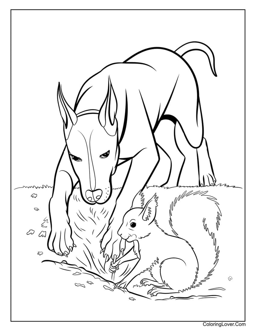 33 Squirrel Coloring Pages Free Printables For Kids 