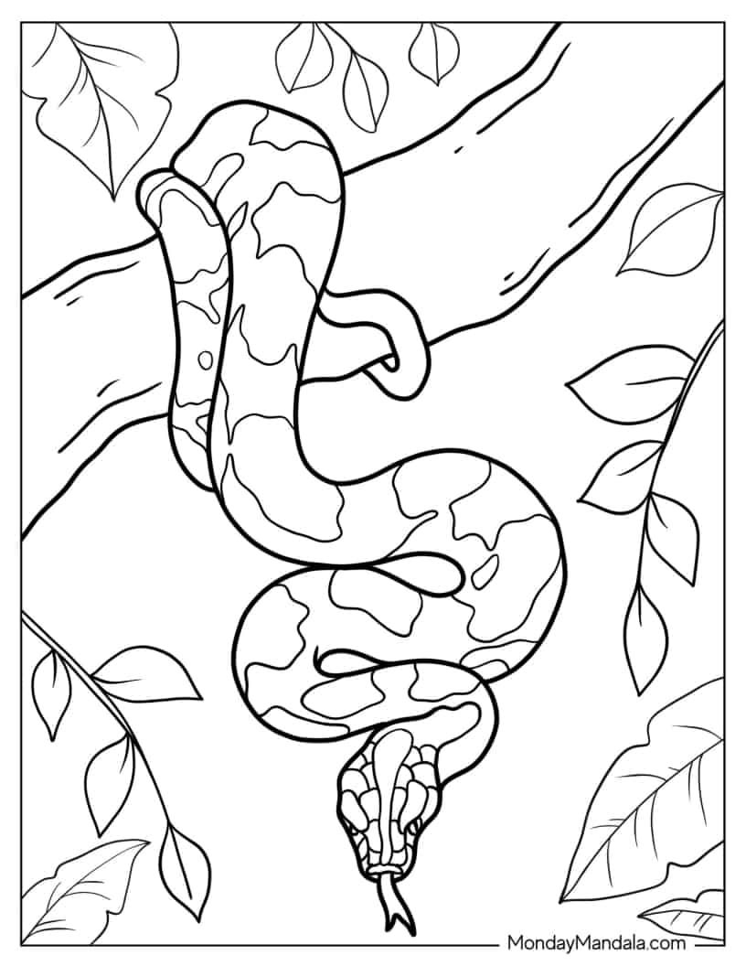 Free Snake Coloring Pages Printables