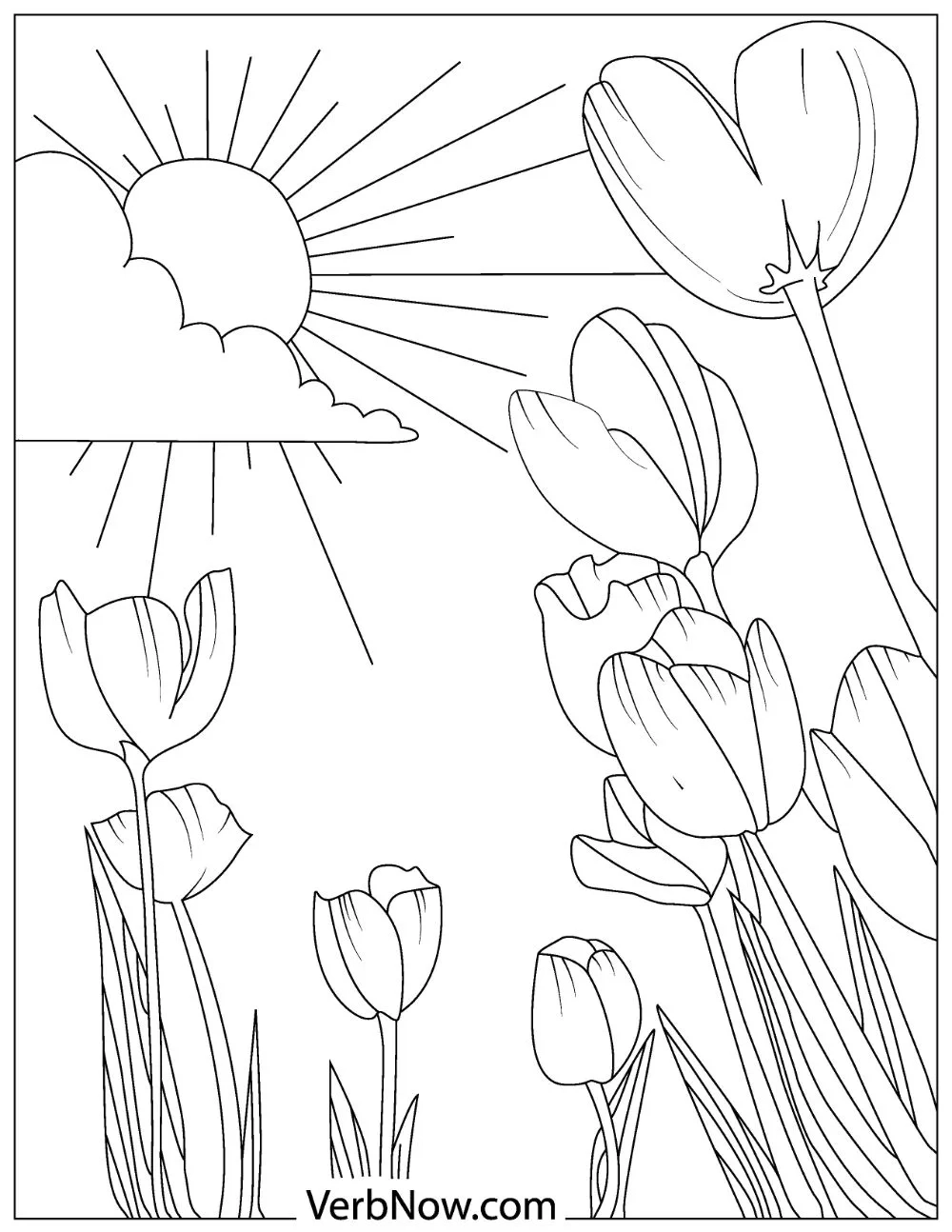41 Free Flower Coloring Pages Printable PDF 