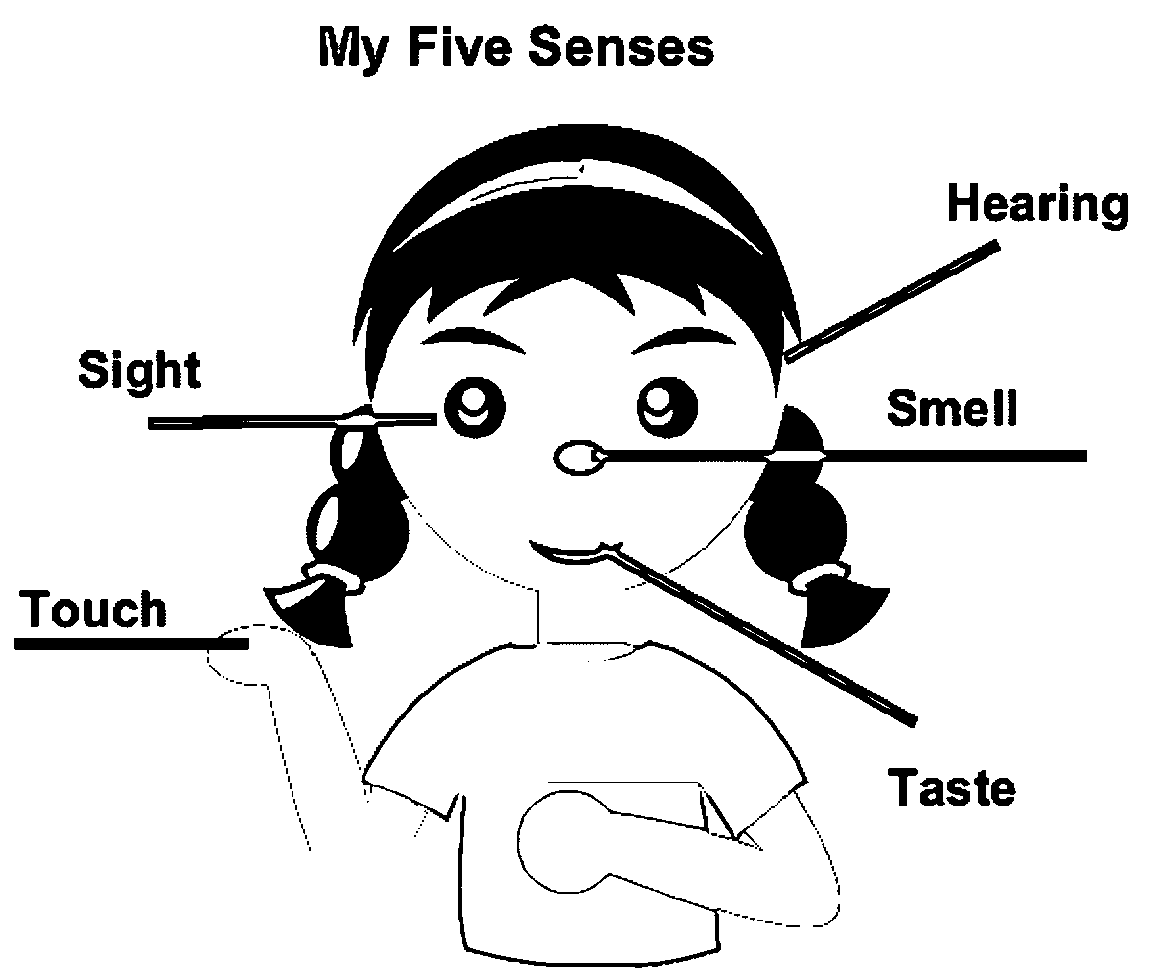  5 Senses Coloring Pages U0026 Books 100 FREE And Printable 
