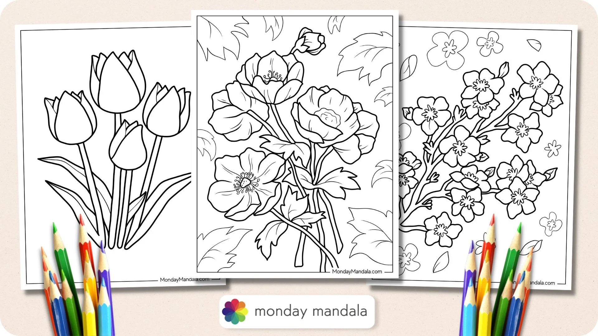 Coloring Pages Printable Flower