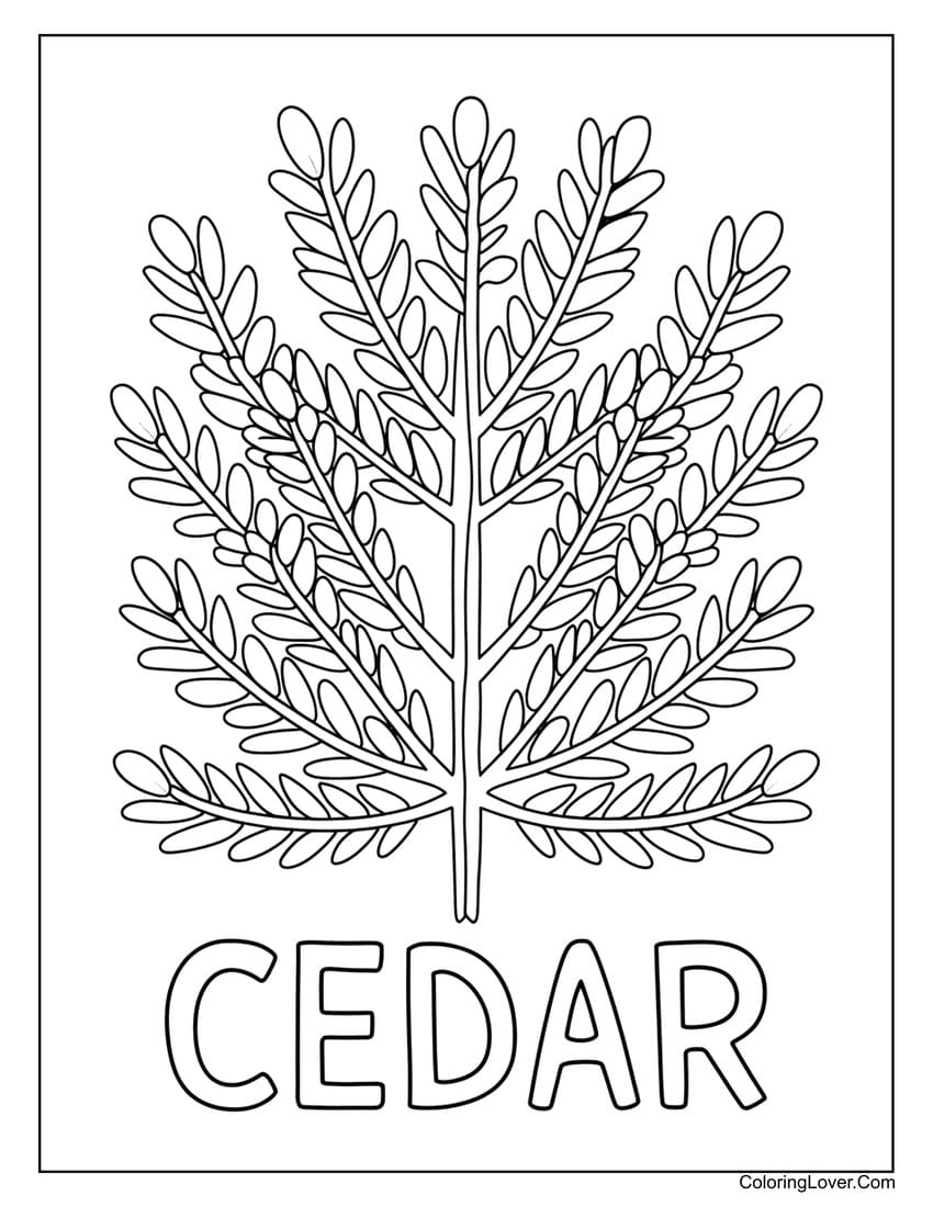 54 Leaf Coloring Pages Free Printables For All Ages 54 Leaf Coloring Pages Free Printables For All Ages