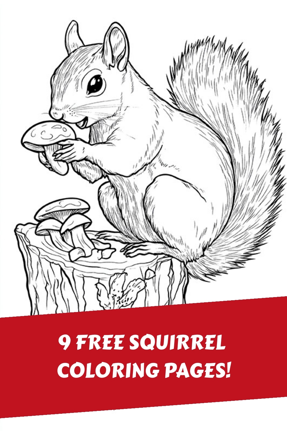 9 Squirrel Coloring Page The Graphics Fairy 9 Squirrel Coloring Page The Graphics Fairy