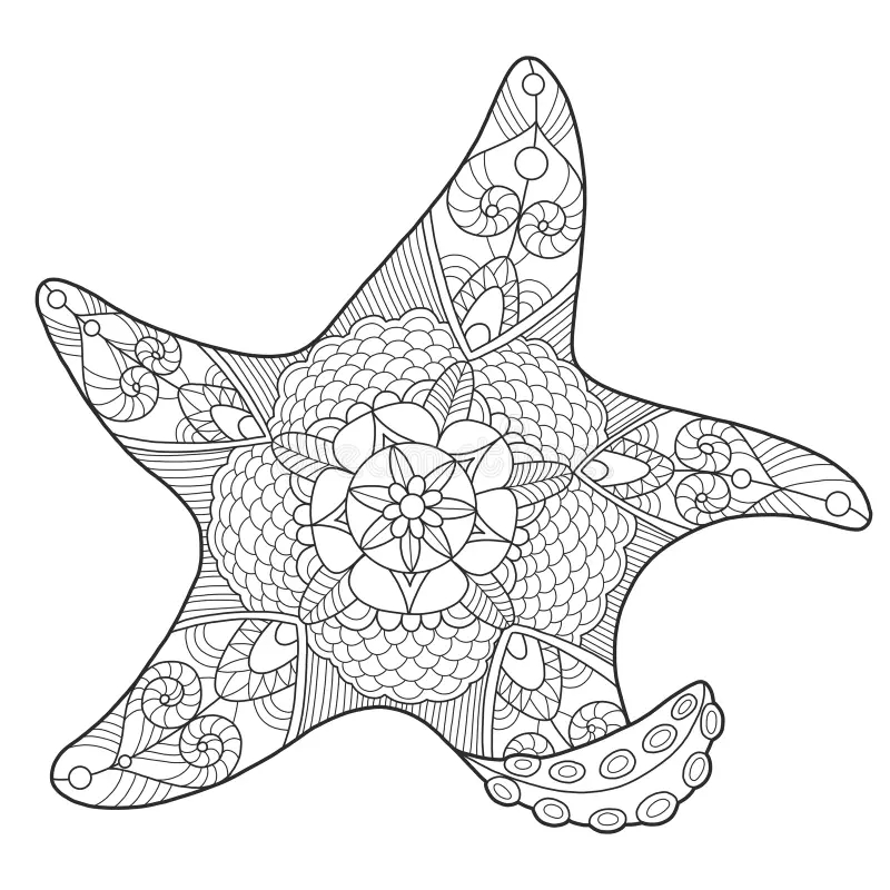 Adult Coloring Book Starfish Stock Illustrations 485 Adult Coloring Book Starfish Stock Illustrations Vectors Clipart Dreamstime Adult Coloring Book Starfish Stock Illustrations 485 Adult Coloring Book Starfish Stock Illustrations Vectors Clipart Dreamstime