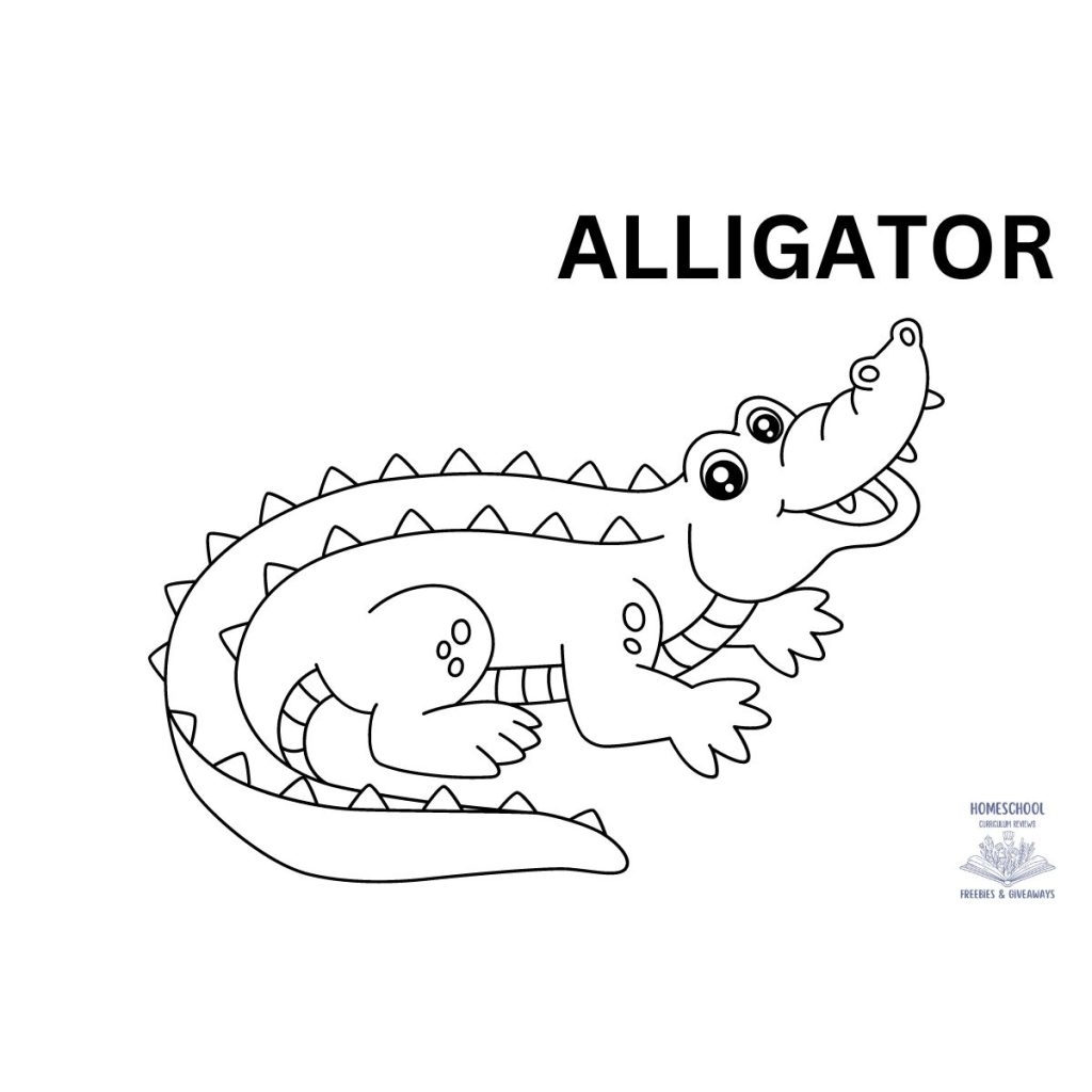 Alligator Coloring Page Homeschool Freebies And Giveaways Alligator Coloring Page Homeschool Freebies And Giveaways