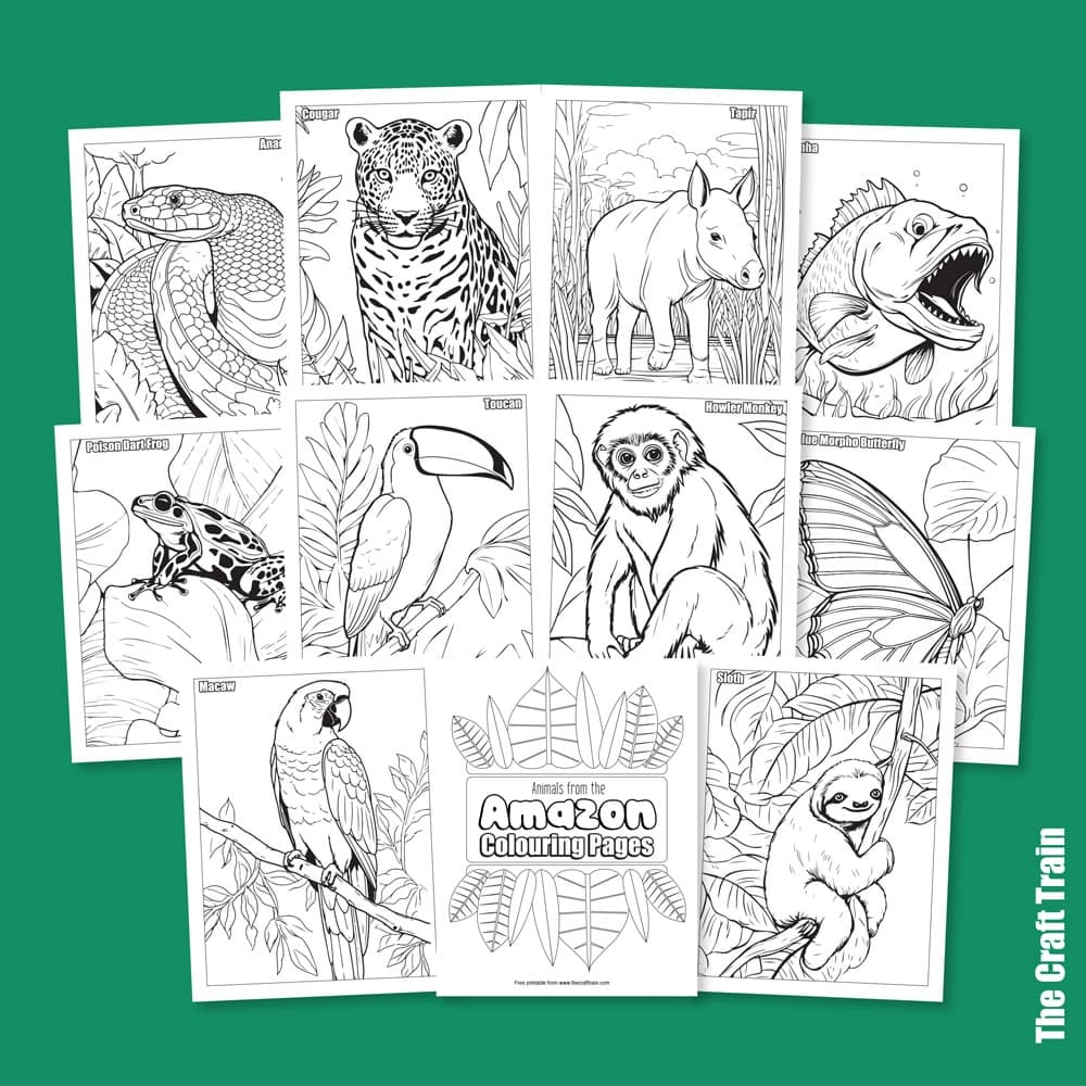Amazon Animal Colouring Pages The Craft Train Amazon Animal Colouring Pages The Craft Train