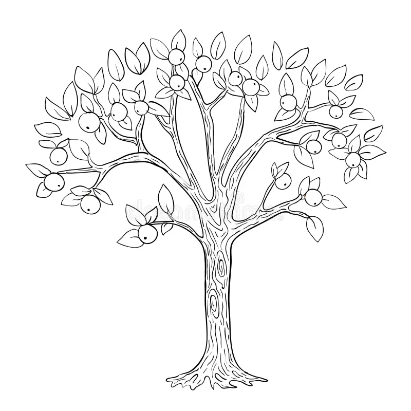 Apple Tree Coloring Page Stock Illustrations 448 Apple Tree Coloring Page Stock Illustrations Vectors Clipart Dreamstime