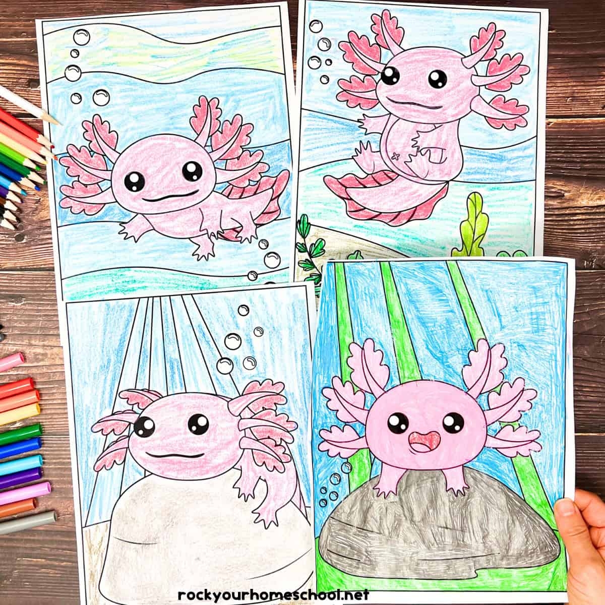 Axolotl Coloring Pages For Fun Printable Activities Free Rock Your Homeschool
