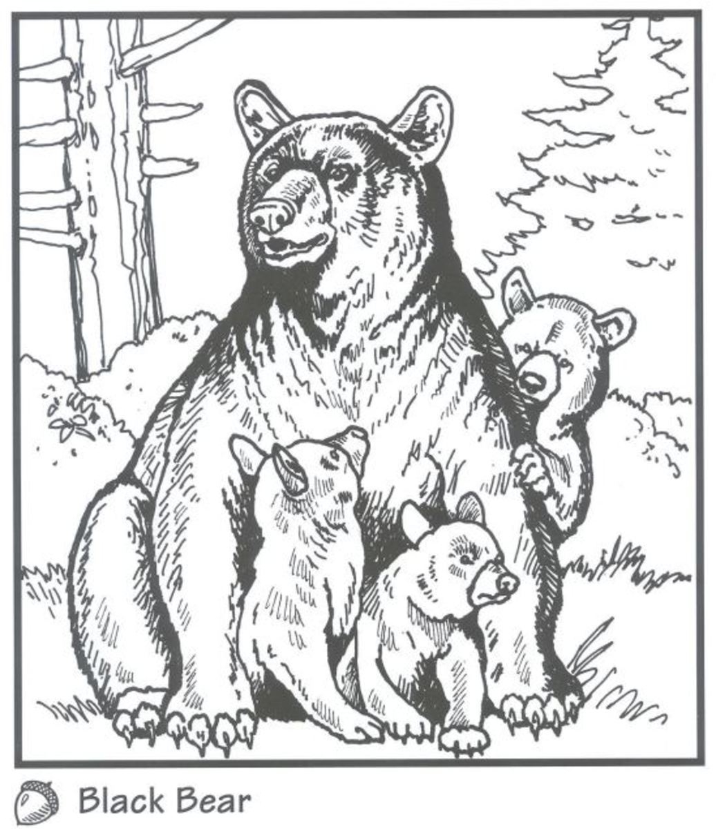 Backyard Animals And Nature Coloring Books Free Coloring Pages HubPages