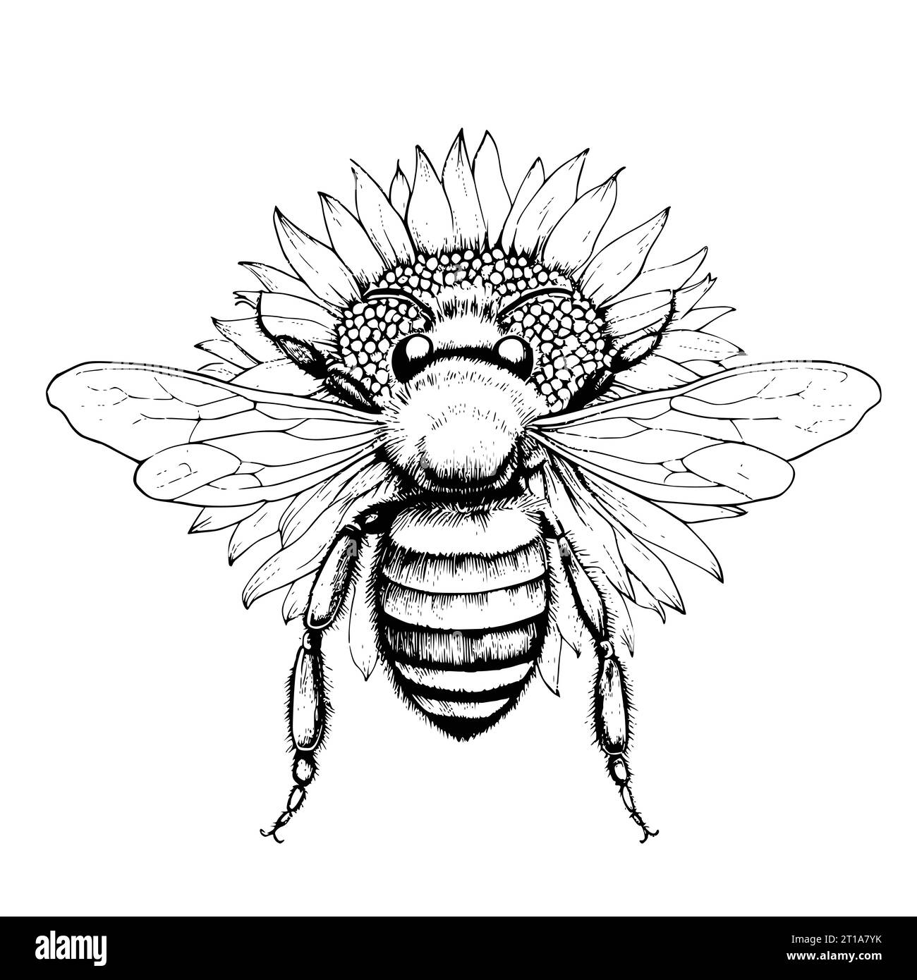 Bee Printable Coloring Pages Bee Printable Coloring Pages