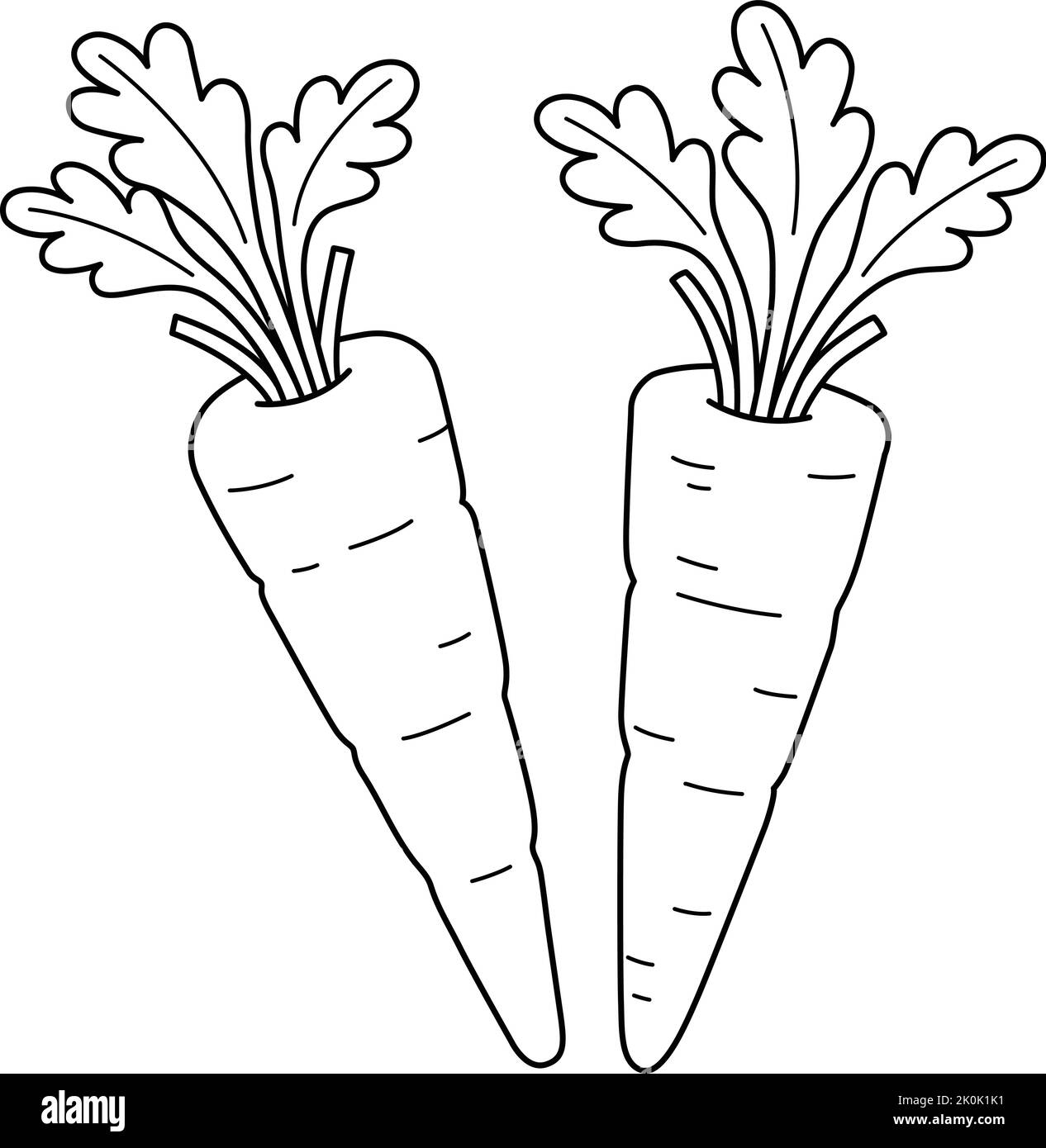 Carrot Food Coloring Stock Vector Images Alamy Carrot Food Coloring Stock Vector Images Alamy