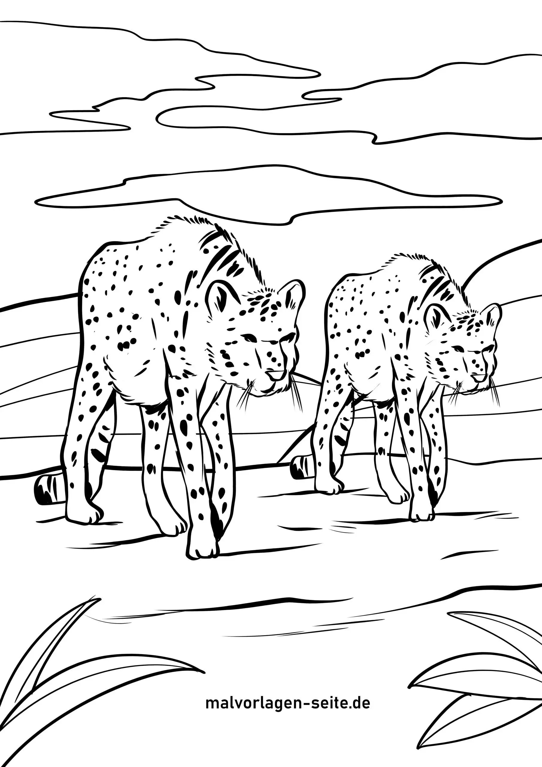Printable Cheetah Coloring Page Printable Cheetah Coloring Page
