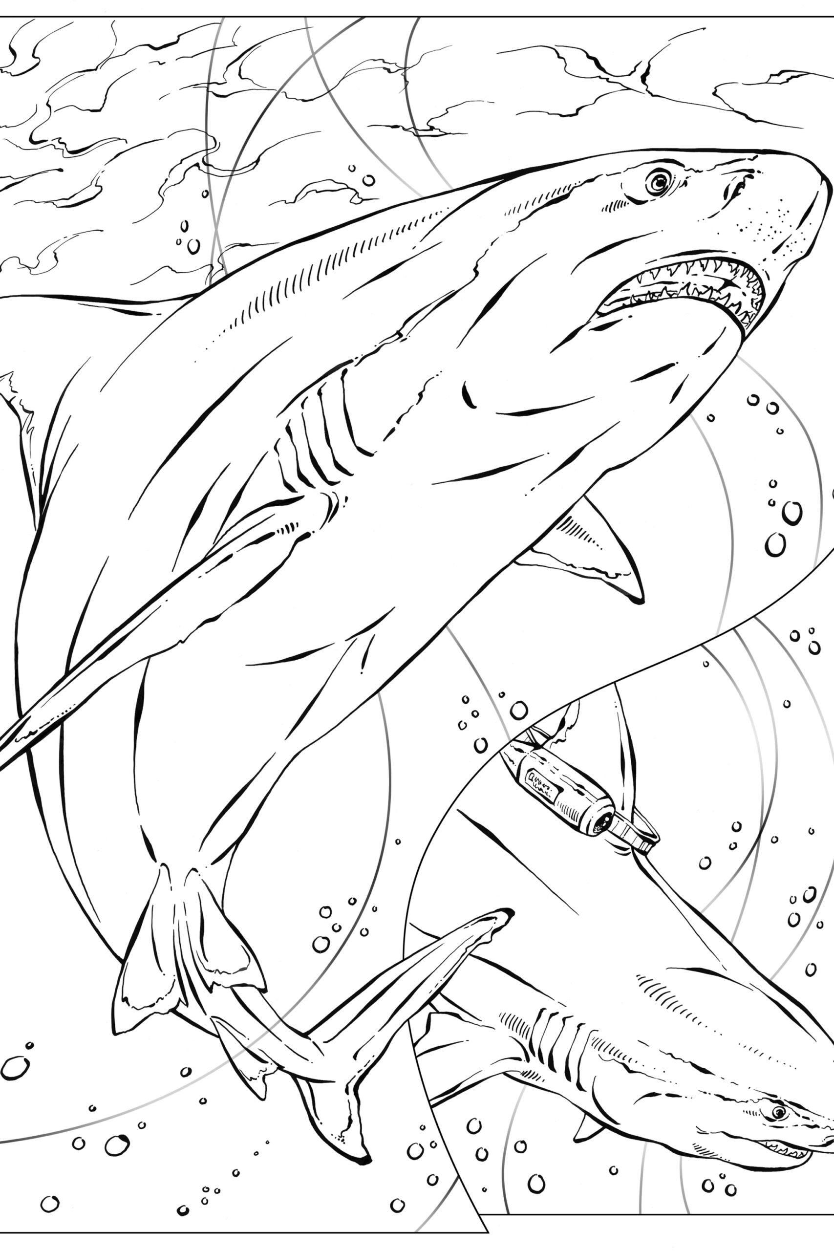 Coloring Book Animals A To I Coloring Book Animals A To I