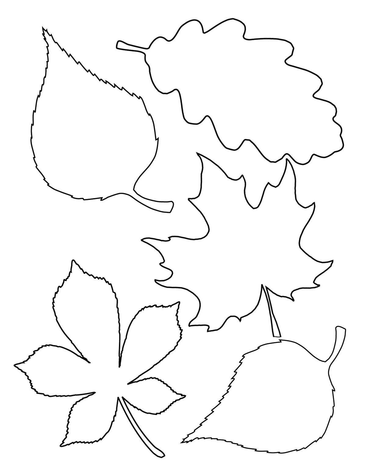Free Coloring Pages Of Fall Leaves Free Coloring Pages Of Fall Leaves