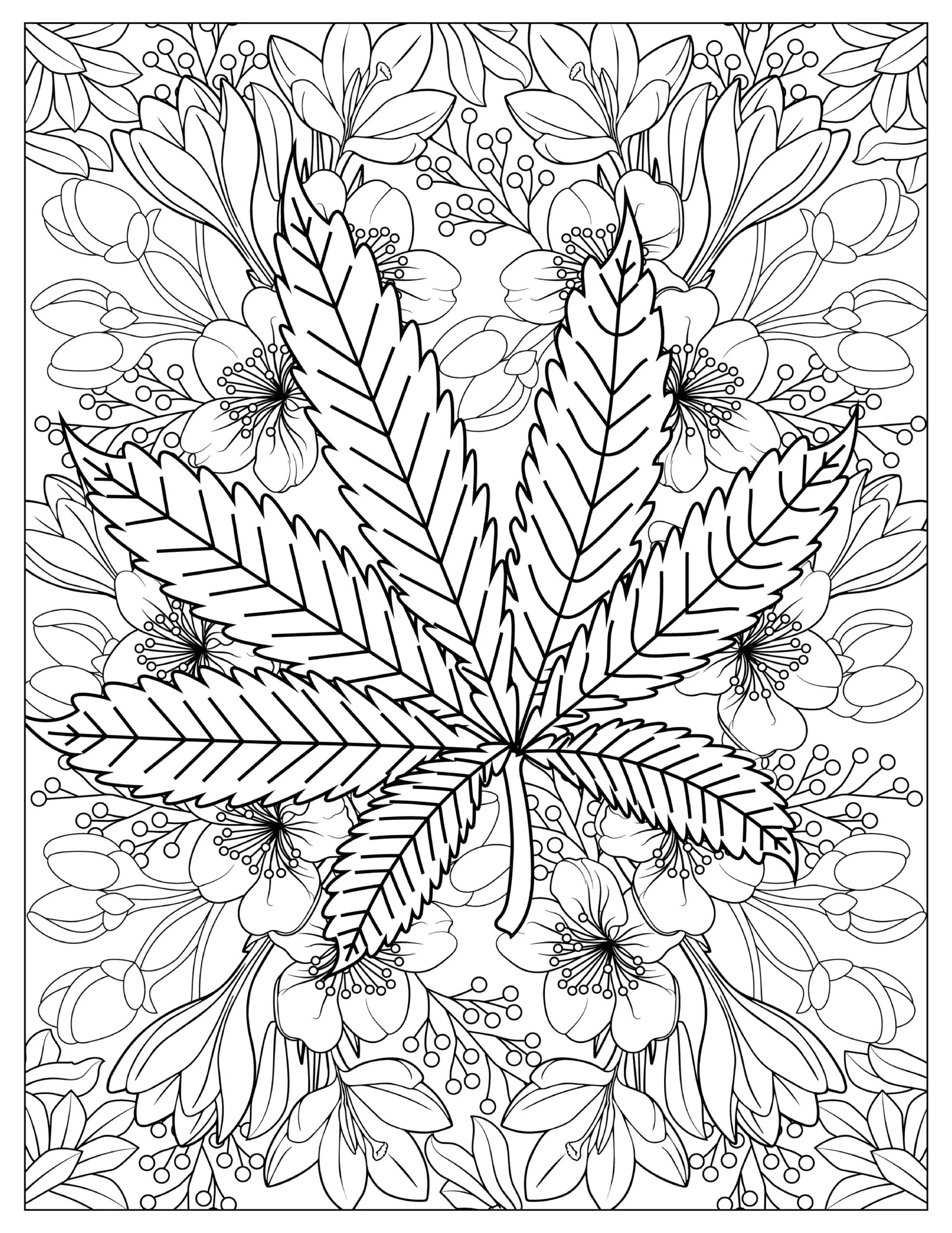 Adult Coloring Page Free Printable Adult Coloring Page Free Printable