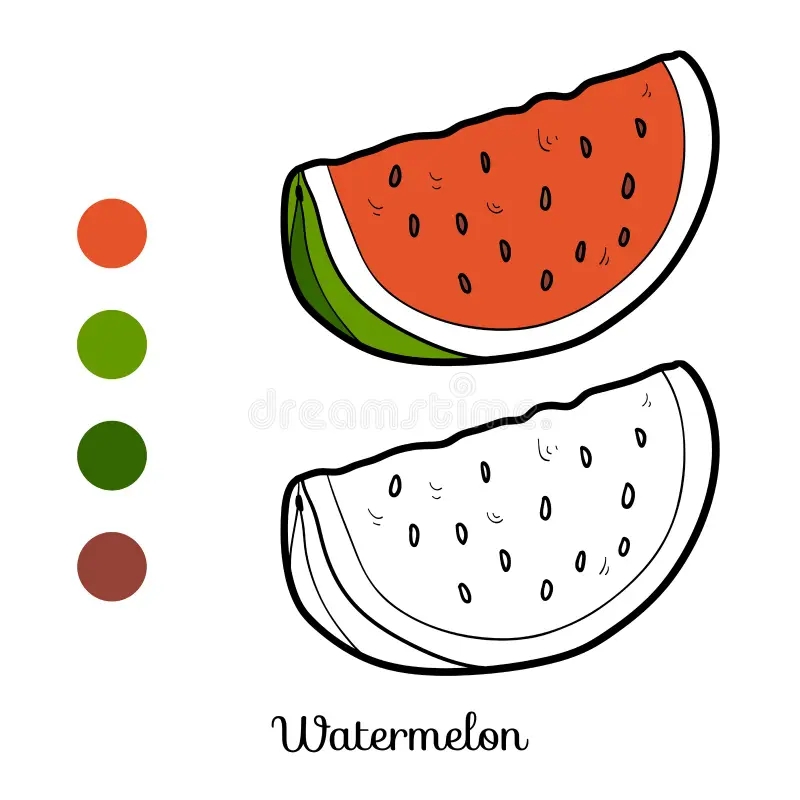 Coloring Watermelon Stock Illustrations 2 084 Coloring Watermelon Stock Illustrations Vectors Clipart Dreamstime