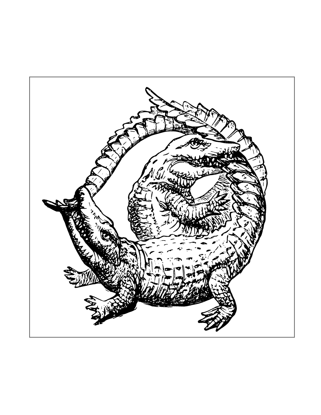 Crocodile And Alligator Coloring Pages Printable Coloring Pages FREE Crocodile And Alligator Coloring Pages Printable Coloring Pages FREE