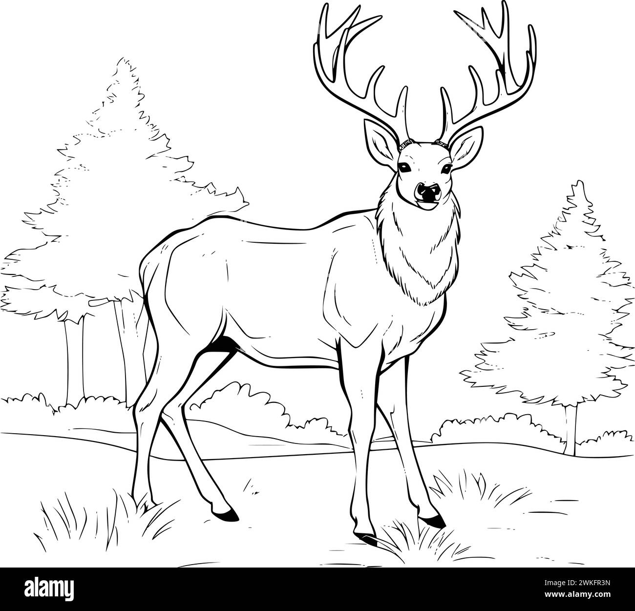 Deer Coloring Pages Printable Hi res Stock Photography And Images Alamy Deer Coloring Pages Printable Hi res Stock Photography And Images Alamy
