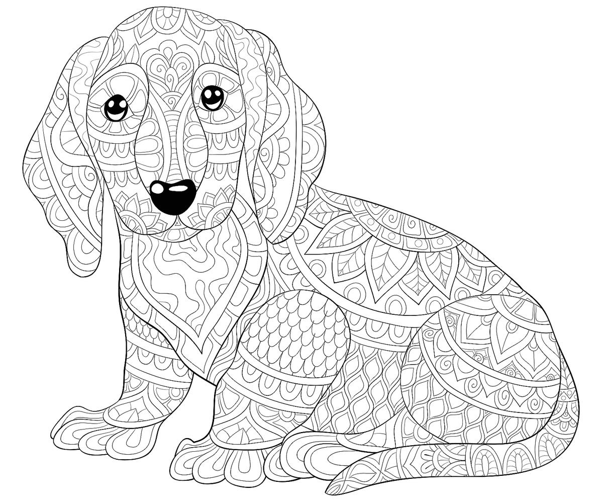 Puppy Dog Coloring Pages Printable