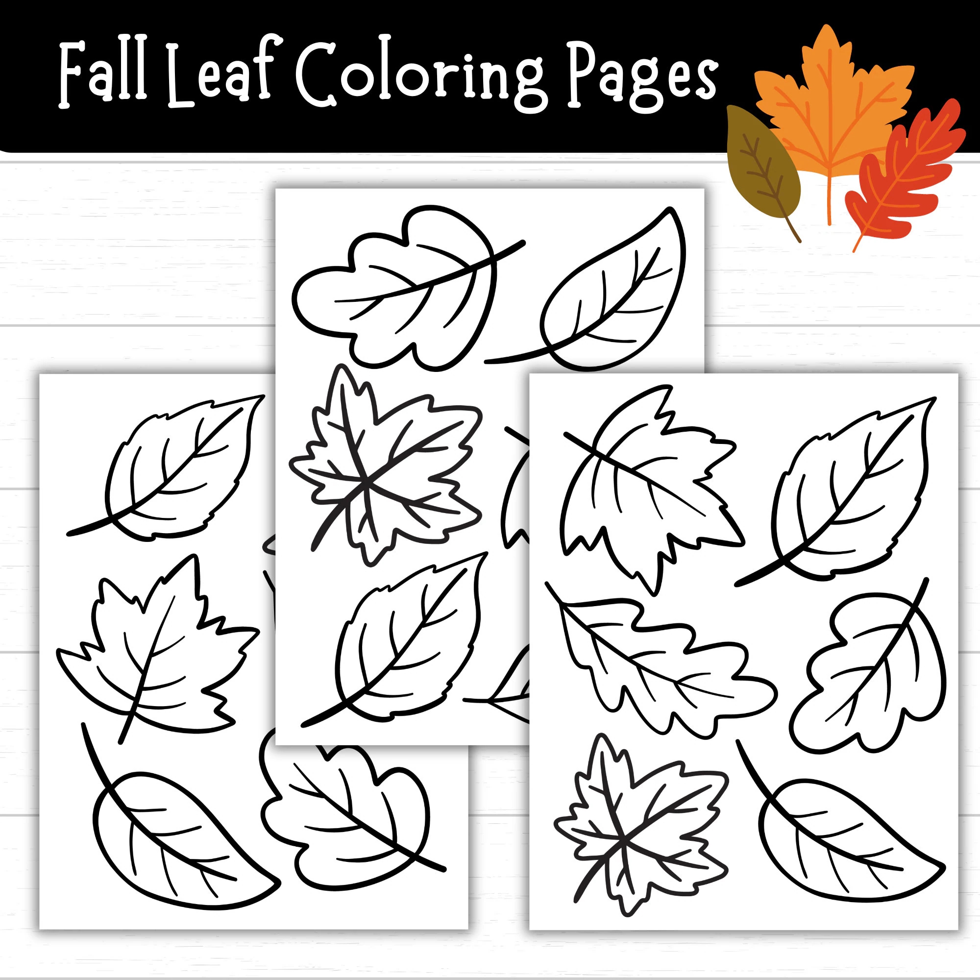 Fall Leaf Coloring Pages Leaf Printables Autumn Leaf Coloring Sheets Fall Activities For Kids Leaf Templates Fall Printables For Kids Etsy Canada Fall Leaf Coloring Pages Leaf Printables Autumn Leaf Coloring Sheets Fall Activities For Kids Leaf Templates Fall Printables For Kids Etsy Canada