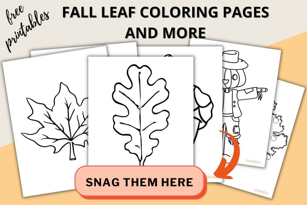 Fall Leaves Coloring Pages FREE Printable Leaf Templates Love Our Real Life Fall Leaves Coloring Pages FREE Printable Leaf Templates Love Our Real Life