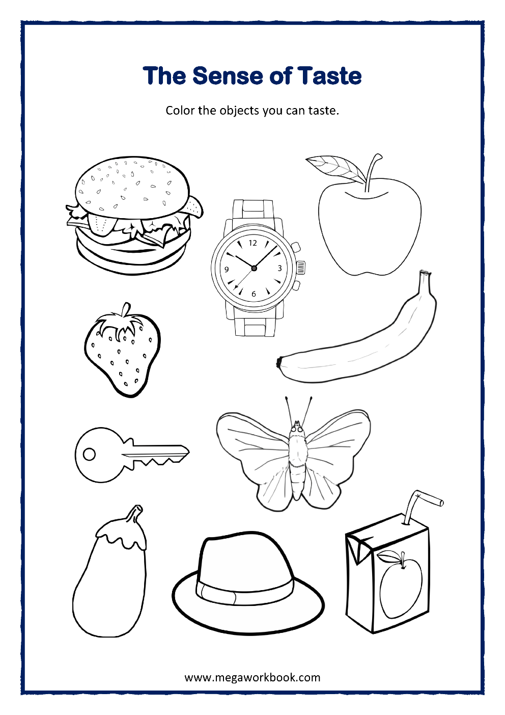Five Senses Worksheets For Preschool And Kindergarten MegaWorkbook Five Senses Worksheets For Preschool And Kindergarten MegaWorkbook