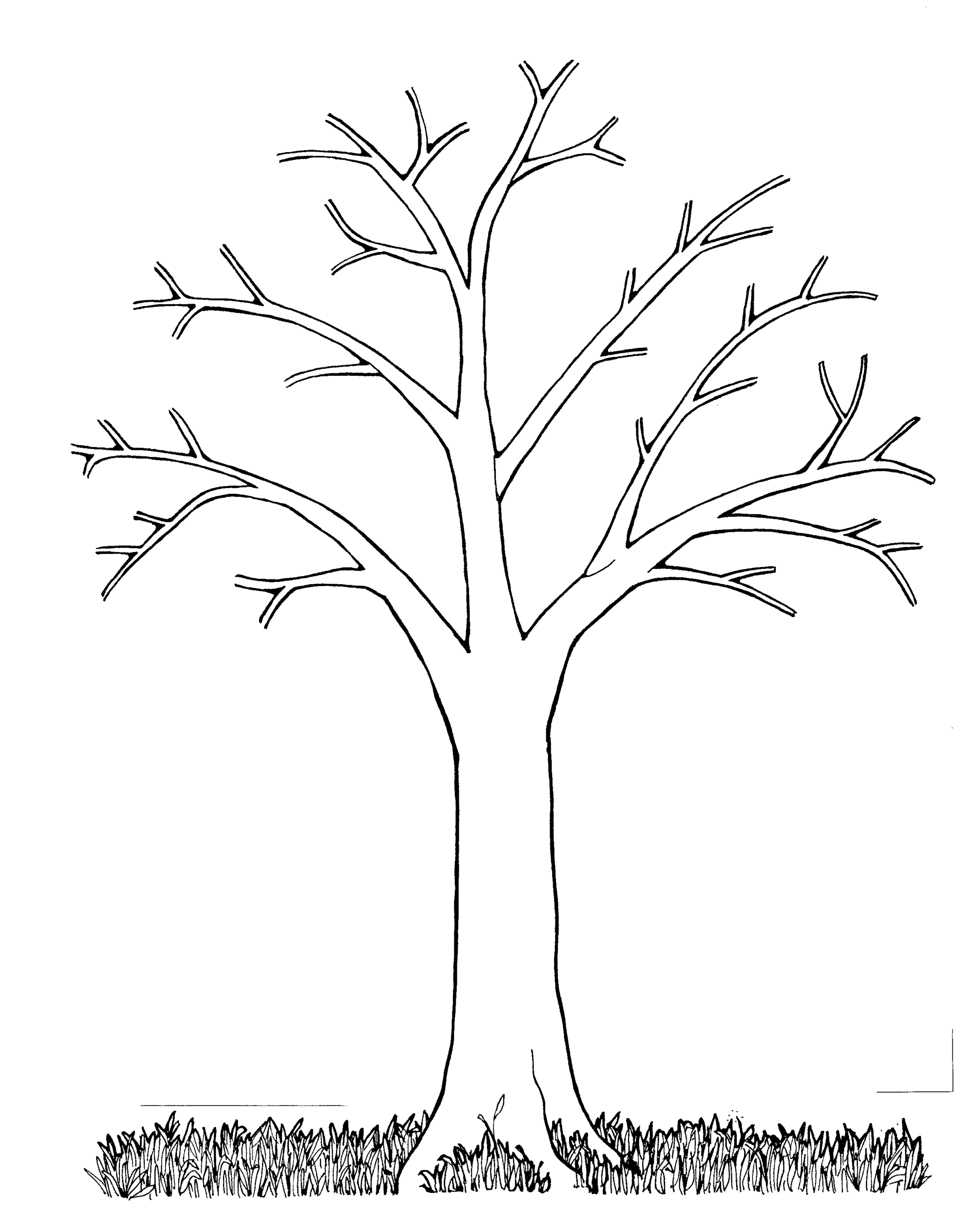Free Bare Tree Coloring Pages Download Free Bare Tree Coloring Pages Png Images Free ClipArts On Clipart Library