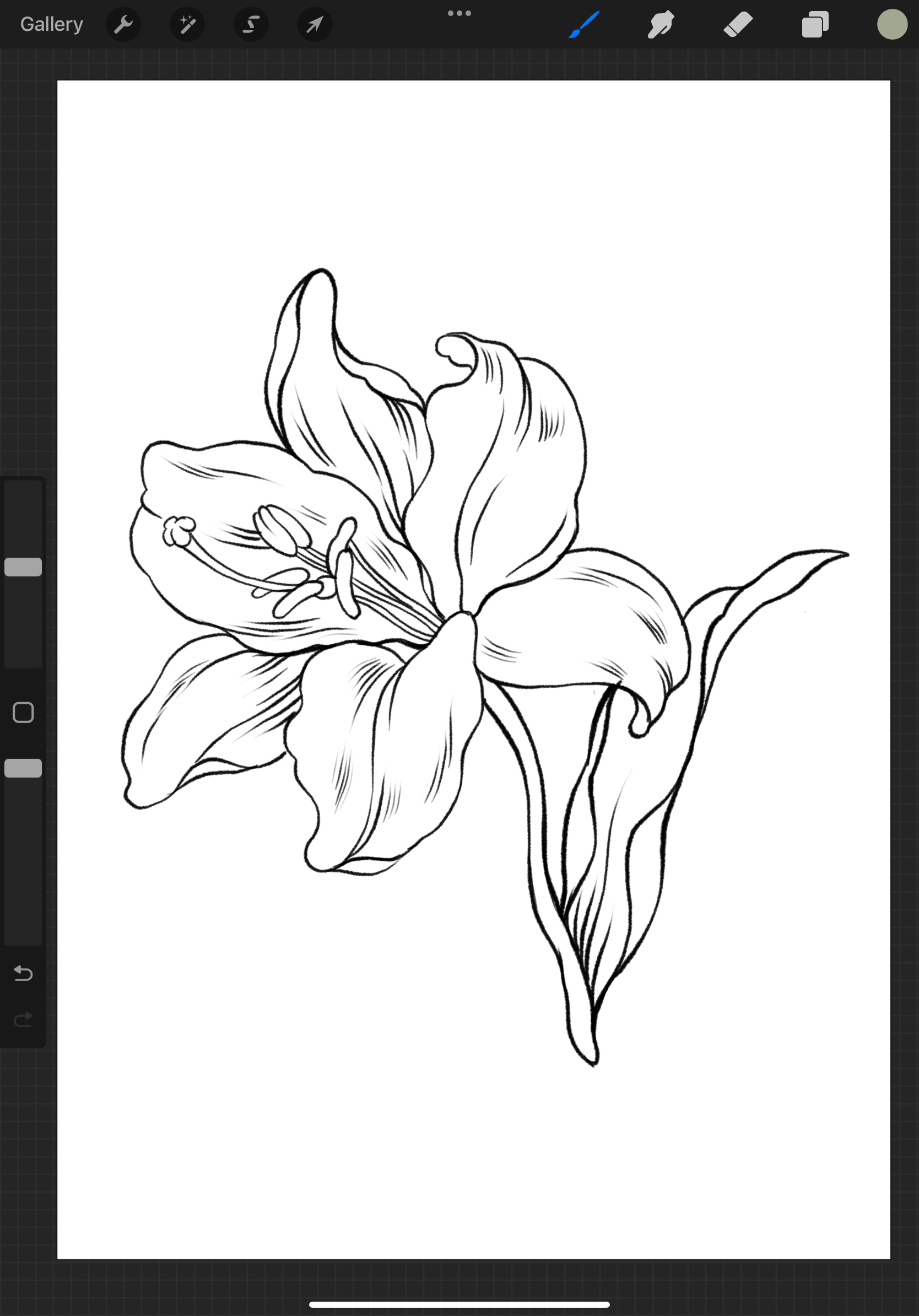 Free Coloring Pages For Procreate Flower Frenzy Edition Procreate courses