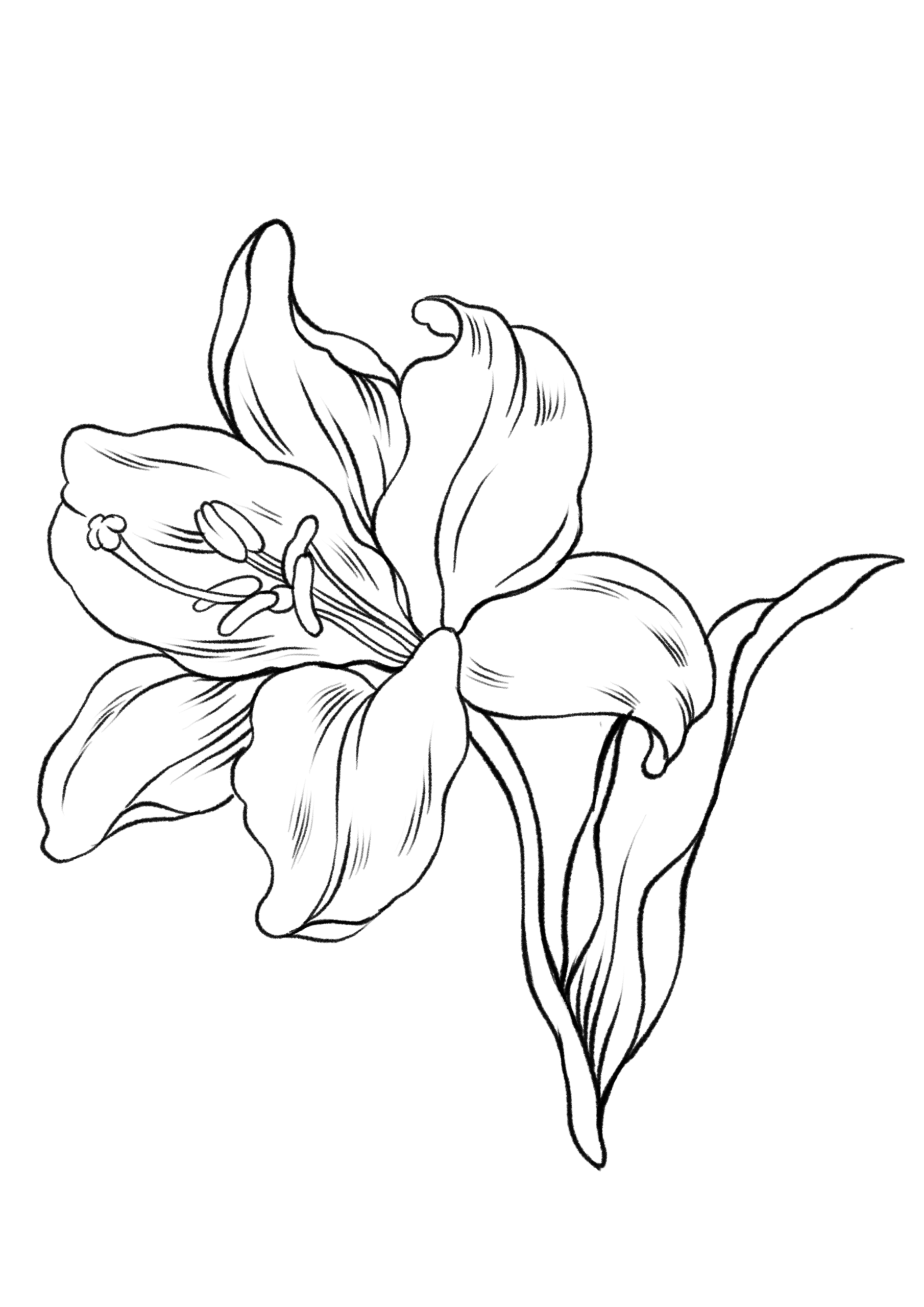 Coloring Pages For Ipad Free Coloring Pages For Ipad Free
