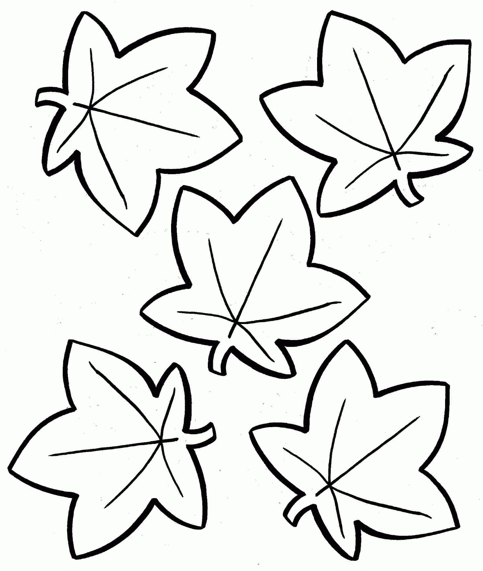 Free Leaves Coloring Pages To Print Download Free Leaves Coloring Pages To Print Png Images Free ClipArts On Clipart Library Free Leaves Coloring Pages To Print Download Free Leaves Coloring Pages To Print Png Images Free ClipArts On Clipart Library