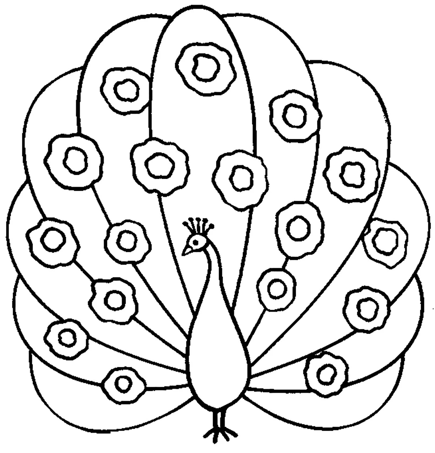 Free Peacock Drawing To Print And Color Peacock Coloring Pages Free Peacock Drawing To Print And Color Peacock Coloring Pages