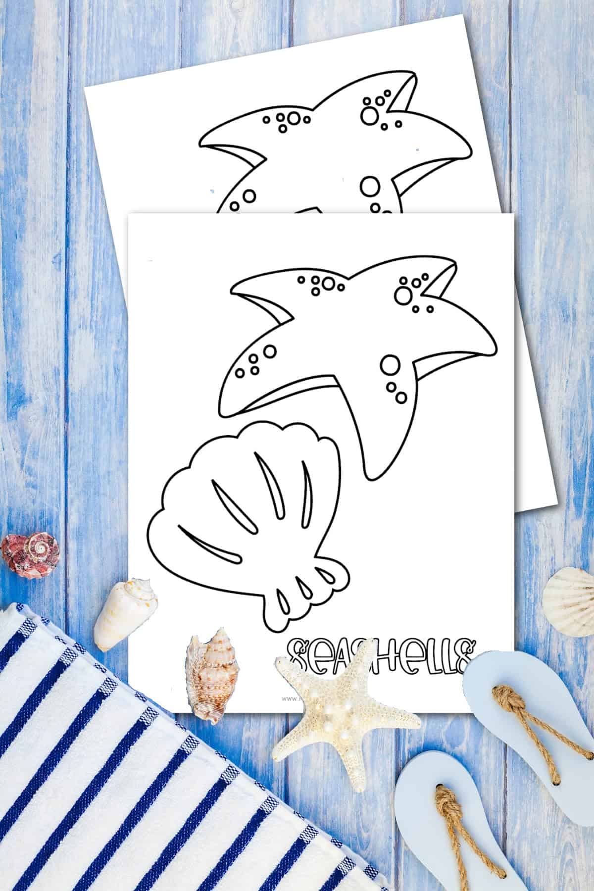 Printable Seashell Coloring Page Printable Seashell Coloring Page