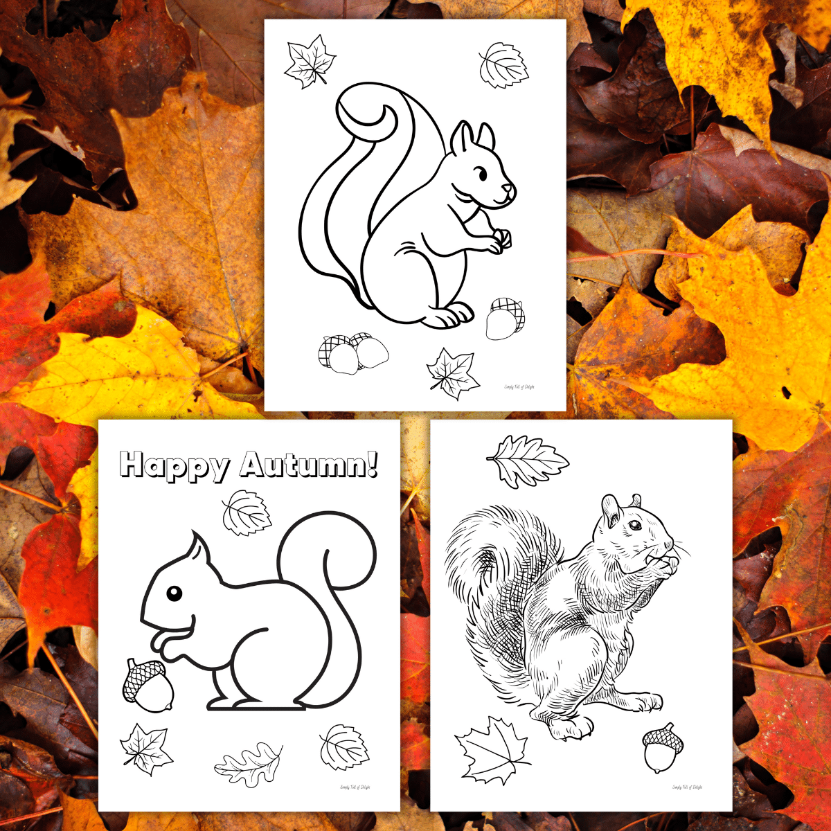 Free Printable Squirrel Coloring Pages For Kids Simply Full Of Free Printable Squirrel Coloring Pages For Kids Simply Full Of