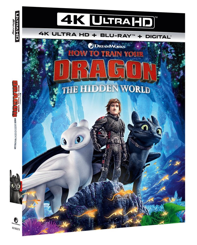 Free Printables How To Train Your Dragon Coloring Sheets Activities Pretty Opinionated