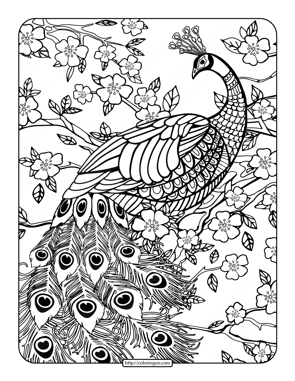 Free Printables Peacock Coloring Page Free Printables Peacock Coloring Page