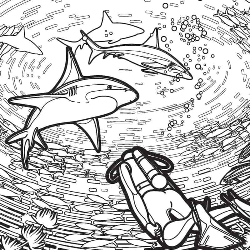 Free Shark Coloring Pages For Shark Week And More 