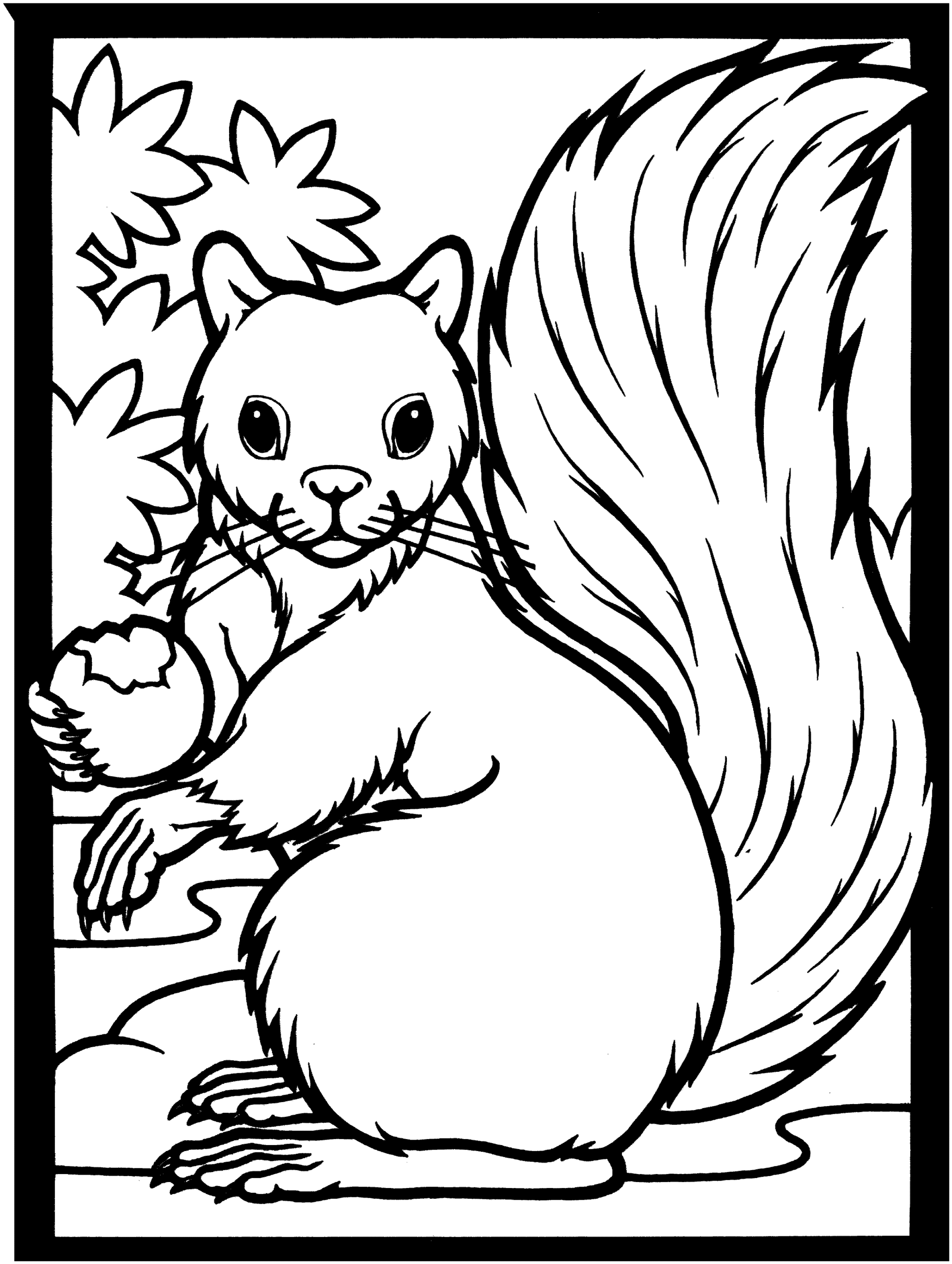 Free Squirrel Coloring Pages